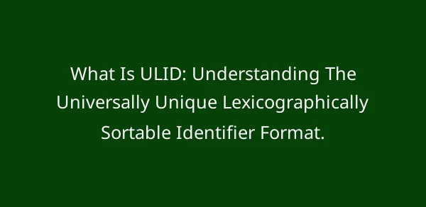 What Is ULID: Understanding The Universally Unique Lexicographically Sortable Identifier Format. image
